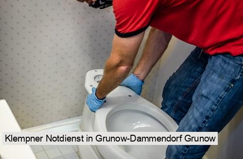 Klempner Notdienst in Grunow-Dammendorf Grunow